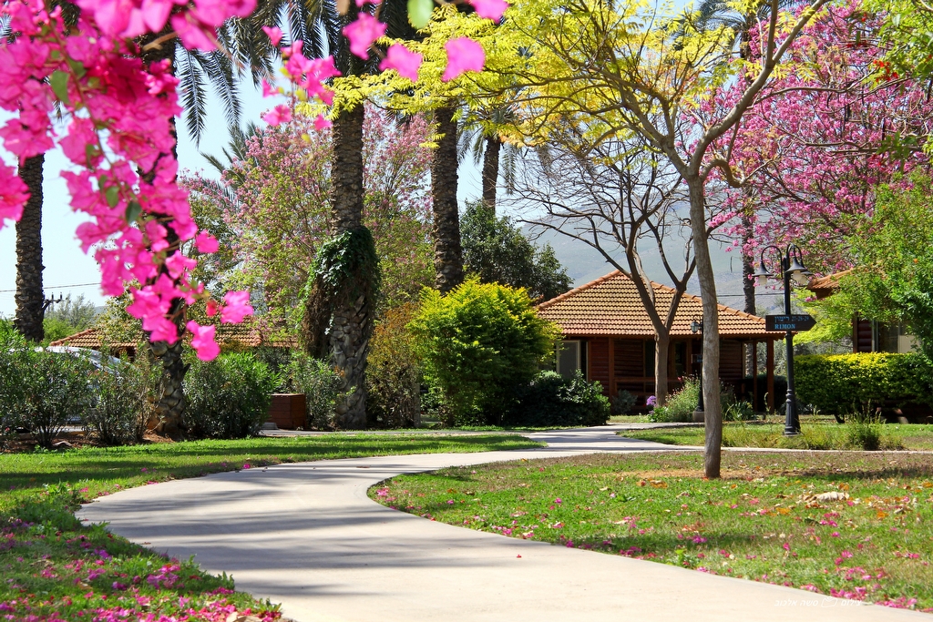 סוויטות זוגיות